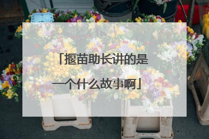 揠苗助长讲的是一个什么故事啊