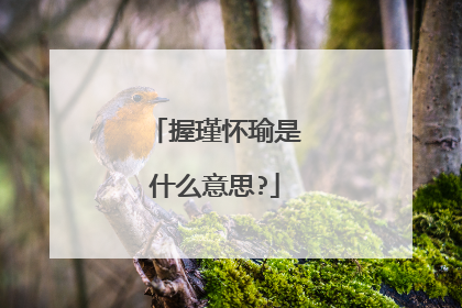 握瑾怀瑜是什么意思?