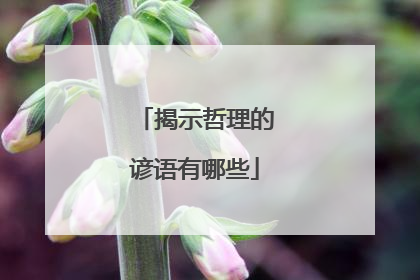 揭示哲理的谚语有哪些