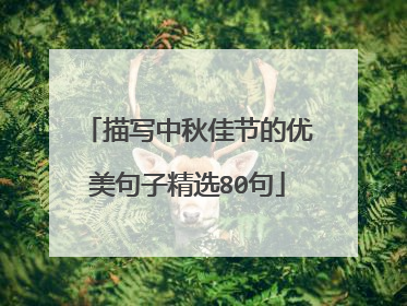 描写中秋佳节的优美句子精选80句