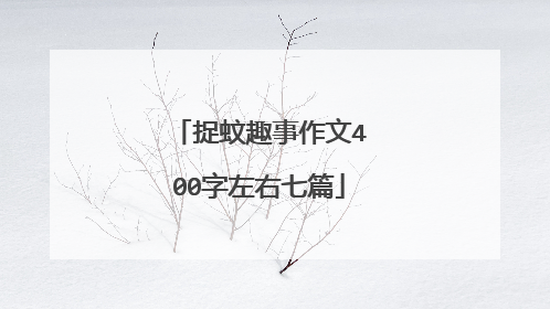 捉蚊趣事作文400字左右七篇