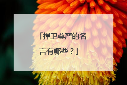 捍卫尊严的名言有哪些?