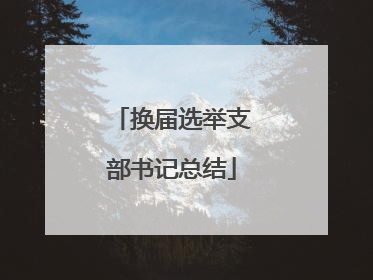 换届选举支部书记总结