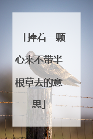 捧着一颗心来不带半根草去的意思
