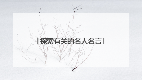 探索有关的名人名言