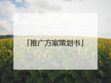 推广方案策划书