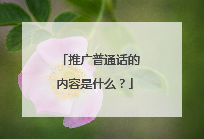 推广普通话的内容是什么？