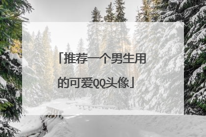 推荐一个男生用的可爱QQ头像