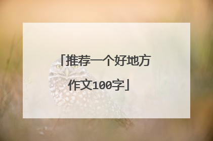 推荐一个好地方作文100字