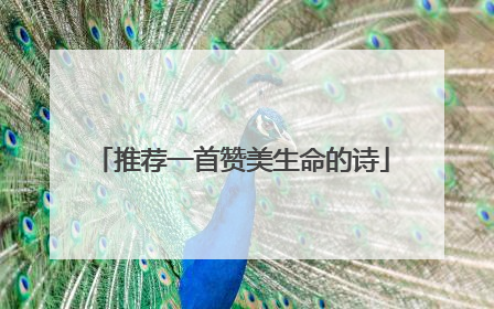 推荐一首赞美生命的诗