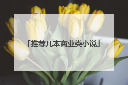 推荐几本商业类小说