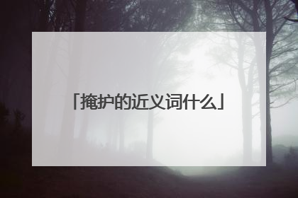 掩护的近义词什么