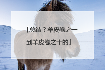 总结?羊皮卷之一到羊皮卷之十的