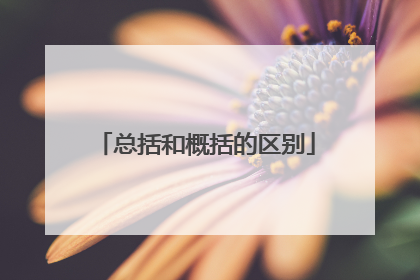 总括和概括的区别
