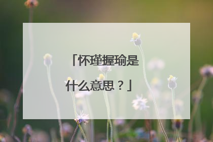 怀瑾握瑜是什么意思？