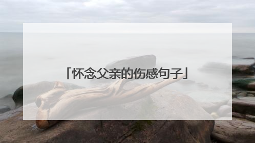 怀念父亲的伤感句子