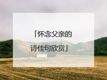 怀念父亲的诗佳句欣赏