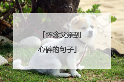 怀念父亲到心碎的句子