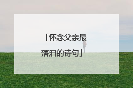 怀念父亲最落泪的诗句