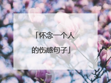 怀念一个人的伤感句子