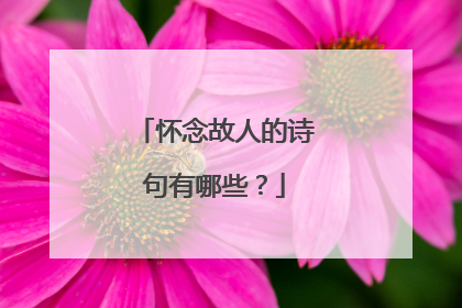 怀念故人的诗句有哪些？