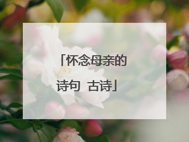 怀念母亲的诗句 古诗