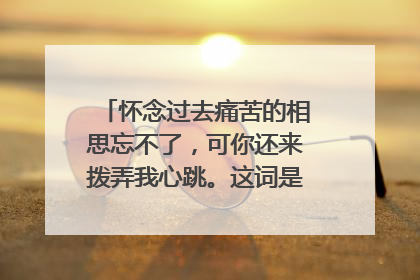 怀念过去痛苦的相思忘不了,可你还来拨弄我心跳。这词是哪首歌里面的!