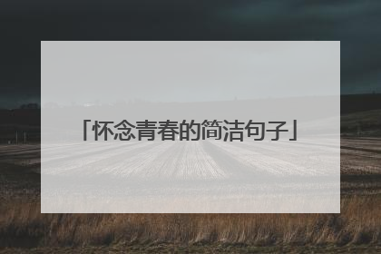 怀念青春的简洁句子