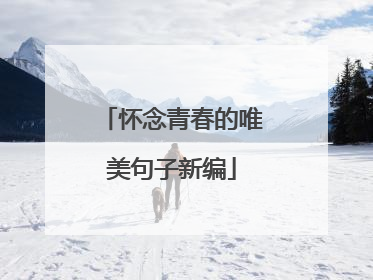 怀念青春的唯美句子新编