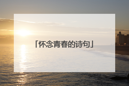 怀念青春的诗句