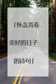 怀念青春美好的日子的诗句