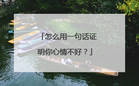 怎么用一句话证明你心情不好？