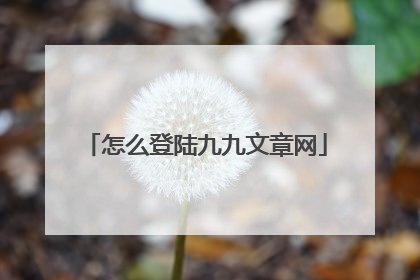 怎么登陆九九文章网