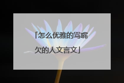 怎么优雅的骂嘴欠的人文言文