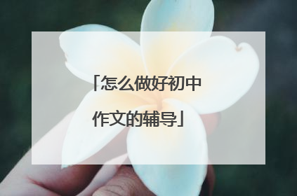 怎么做好初中作文的辅导