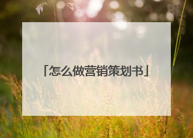 怎么做营销策划书