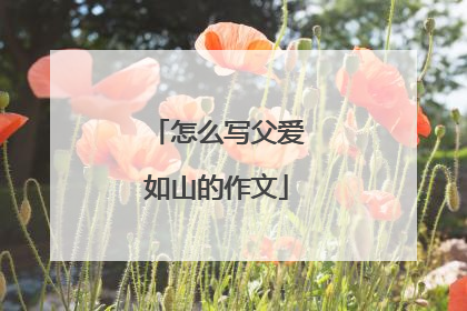 怎么写父爱如山的作文