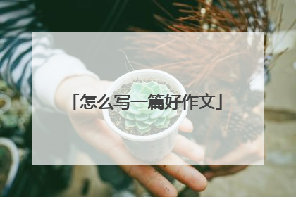 怎么写一篇好作文