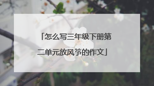 怎么写三年级下册第二单元放风筝的作文