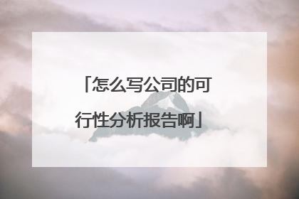 怎么写公司的可行性分析报告啊