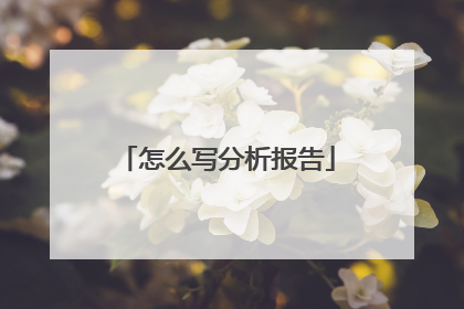怎么写分析报告
