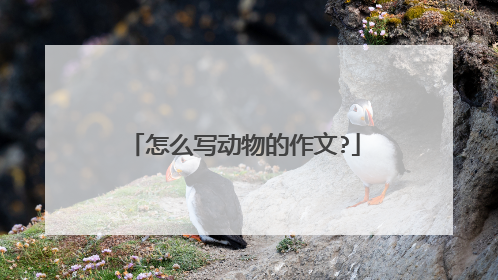 怎么写动物的作文?