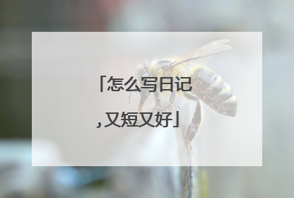 怎么写日记,又短又好