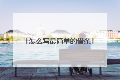 怎么写最简单的借条