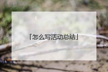 怎么写活动总结