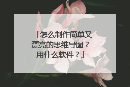 怎么制作简单又漂亮的思维导图？用什么软件？