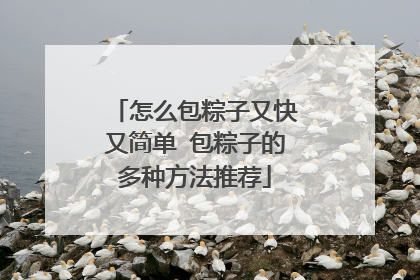 怎么包粽子又快又简单 包粽子的多种方法推荐