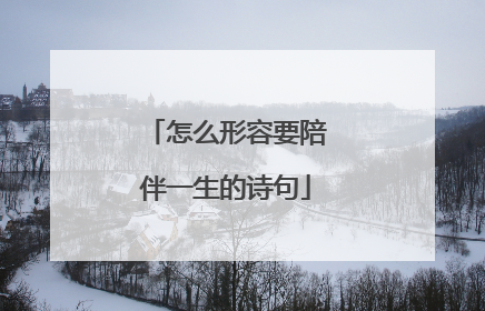 怎么形容要陪伴一生的诗句