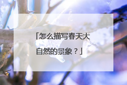 怎么描写春天大自然的景象？