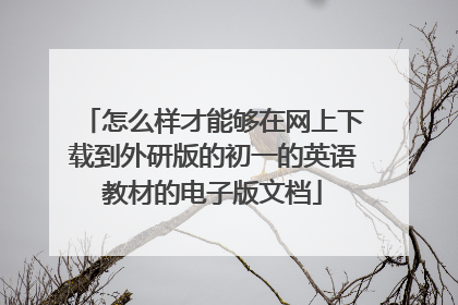 怎么样才能够在网上下载到外研版的初一的英语教材的电子版文档